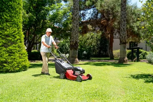 Landscaping & Lawn